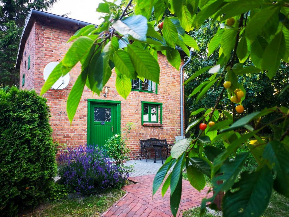 Ferienwohnung Gutshof Groß Behnkenhagen Exterior foto